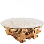 Root/T dining table Φ160xY.76cm