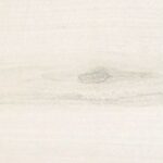 Table Top 70x70cm Tilia Tree