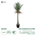 GloboStar® Artificial Garden BEAUCARNEA PALM TREE 20047 Τεχνητό Διακοσμητικό Φυτό Κυρτόφυλλος Μπουκαρνέα Υ200cm