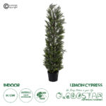 GloboStar® Artificial Garden LEMON CYPRESS 20152 Τεχνητό Διακοσμητικό Φυτό Λεμονόκυπάρισσο Υ150cm