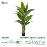 GloboStar® Artificial Garden BANANA STRELITZIA REGINAE 20381 - Τεχνητό Διακοσμητικό Φυτό Μπανανιά - Στρελίτσια - Πουλί του Παραδείσου Υ230cm