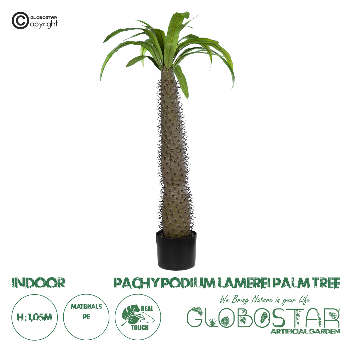 GloboStar® Artificial Garden PACHYPODIUM LAMEREI PALM TREE 20129 Τεχνητό Διακοσμητικό Φυτό Φοίνικας της Μαγαδασκάρης Υ105cm