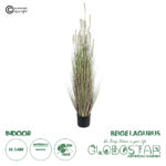 GloboStar® Artificial Garden BEIGE LAGURUS 21102 Διακοσμητικό Φυτό Μπεζ Λαγοουρά Υ140cm