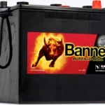 Banner Buffalo Bull 62523 12V 125Ah