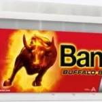 Banner Buffalo Bull Shd 67033 12V 170Ah