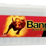 Banner Buffalo Bull SHD 72511 12V 225Ah