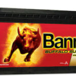 Banner Buffalo Bull 68008 12V 180Ah
