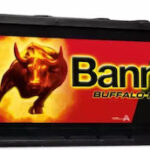 Banner Buffalo Bull 63211 12V 132Ah