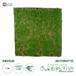 GloboStar® Artificial Garden BRYOPHYTA 20144 Τεχνητό Διακοσμητικό Πάνελ Φυλλωσιάς - Κάθετος Κήπος Βρύα Μ100 x Π100 x Υ3cm
