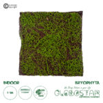GloboStar® Artificial Garden BRYOPHYTA 20143 Τεχνητό Διακοσμητικό Πάνελ Φυλλωσιάς - Κάθετος Κήπος Βρύα Μ100 x Π100 x Υ5cm