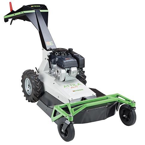 Etesia AH75
