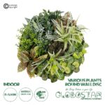GloboStar® Artificial Garden VARIOUS PLANTS ROUND WALL DISC 20691 Τεχνητό Διακοσμητικό Στρογγυλό Πάνελ Φυλλωσιάς - Κάθετος Κήπος Μιξ Μ60 x Π60 x Υ20cm