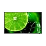 NEC E558 Multisync LCD Monitor 55"