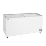Tefcold Καταψύκτης με ίσια συρόμενα κρύσταλλα 1750x630x892mm IC551SC
