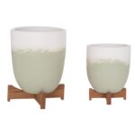 ΓΛΑΣΤΡΕΣ ΣΕΤ 2ΤΜΧ SEON HM4686.09 TERRACOTTA ΣΕ ΛΕΥΚΟ & ΠΡΑΣΙΝΟ--TEAK ΒΑΣΗ