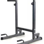 Viking DS-90 Dip Station