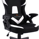 Καρέκλα Gaming Raptor Fury