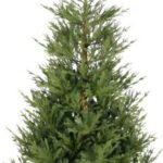 Χριστουγεννιάτικο δέντρο Fir 210cm - 2590 κλαδιά πράσινο